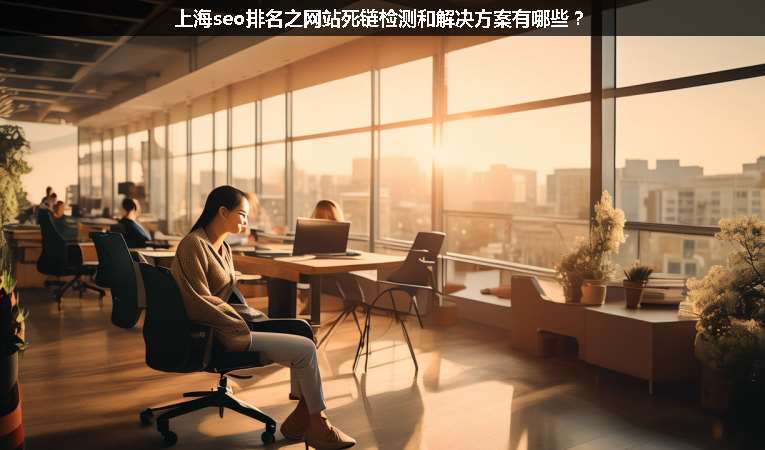 上海seo排名之網(wǎng)站死鏈檢測(cè)和解決方案有哪些？