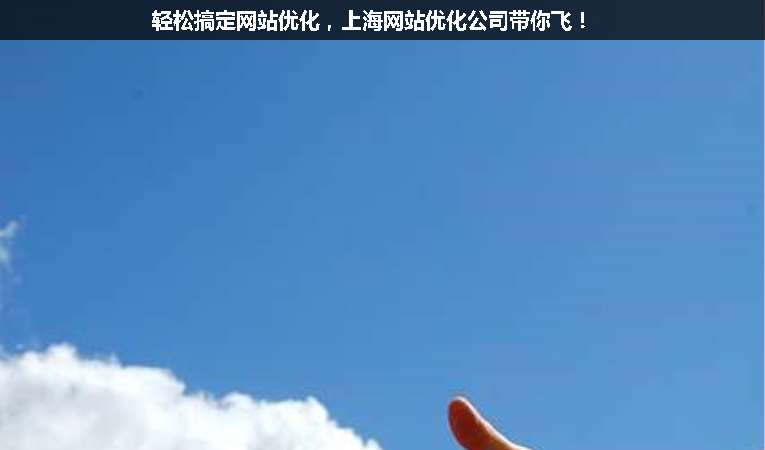 輕松搞定網(wǎng)站優(yōu)化，上海網(wǎng)站優(yōu)化公司帶你飛！