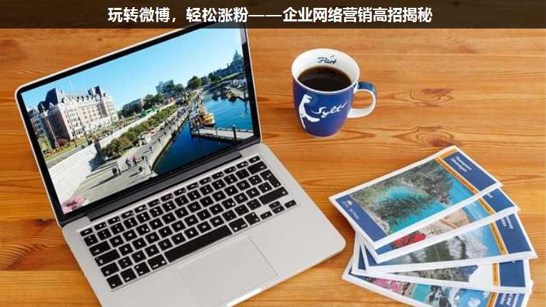 玩轉(zhuǎn)微博,輕松漲粉——企業(yè)網(wǎng)絡營銷高招揭秘