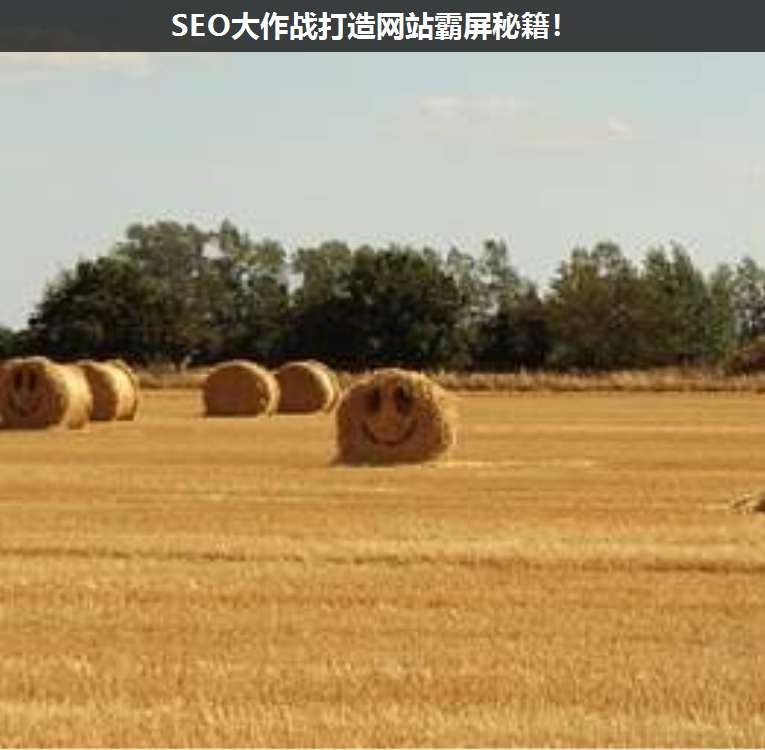 SEO大作戰(zhàn)打造網(wǎng)站霸屏秘籍!