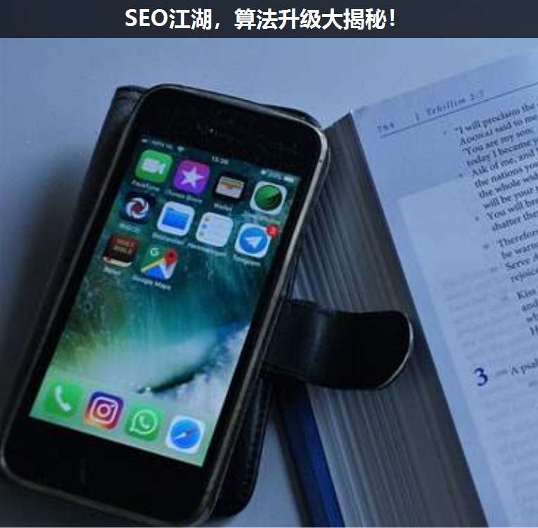 SEO江湖,算法升級大揭秘!