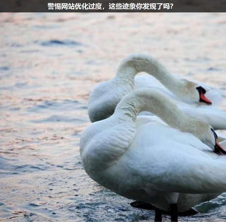 警惕網(wǎng)站優(yōu)化過(guò)度,這些跡象你發(fā)現(xiàn)了嗎?
