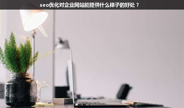 seo優(yōu)化對(duì)企業(yè)網(wǎng)站能提供什么樣子的好處？
