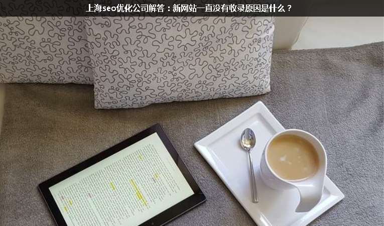 上海seo優(yōu)化公司解答：新網(wǎng)站一直沒有收錄原因是什么？